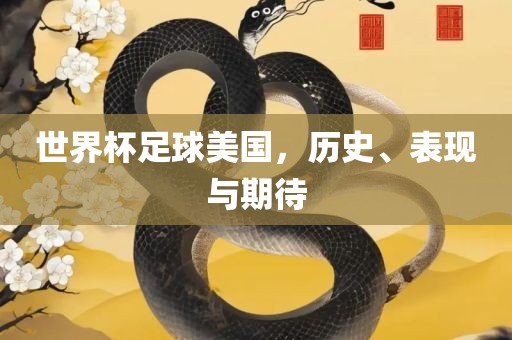 世界杯足球美国，历史、表现与期待漯河市盈旭机械设备有限公司