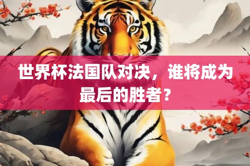 世界杯法国队对决，谁将成为最后的胜者？