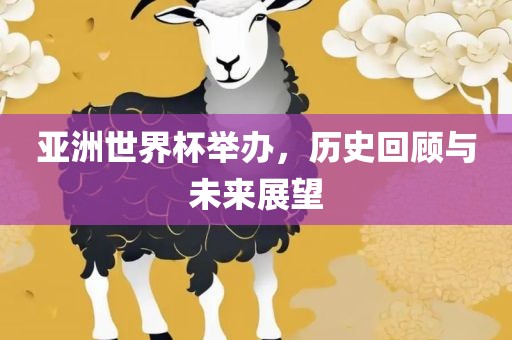 亚洲世界杯举办，历史回顾与未来展望漯河市盈旭机械设备有限公司
