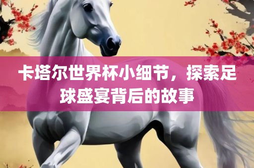卡塔尔世界杯小细节，探索足球盛宴背后的故事