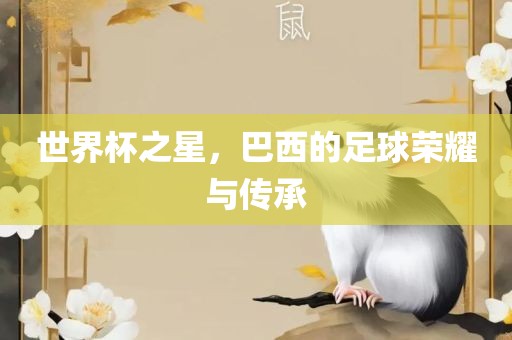 世界杯之星，巴西的足球荣耀与传承