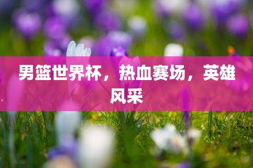 男篮世界杯，热血赛场，英雄风采