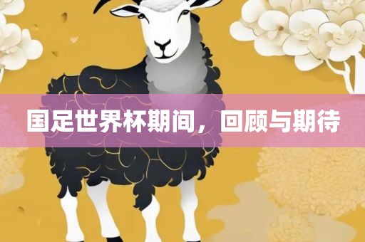 国足世界杯期间，回顾与期待