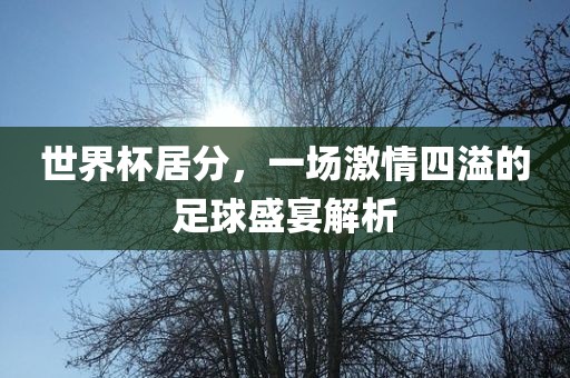 漯河市盈旭机械设备有限公司世界杯居分，一场激情四溢的足球盛宴解析