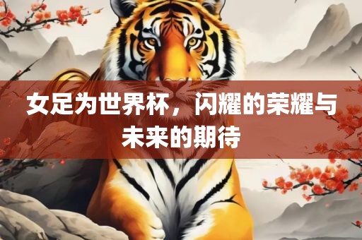 女足为世界杯，闪耀的荣耀与未来的期待