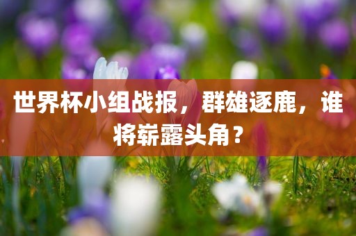 世界杯小组战报，群雄逐鹿，谁将崭露头角？