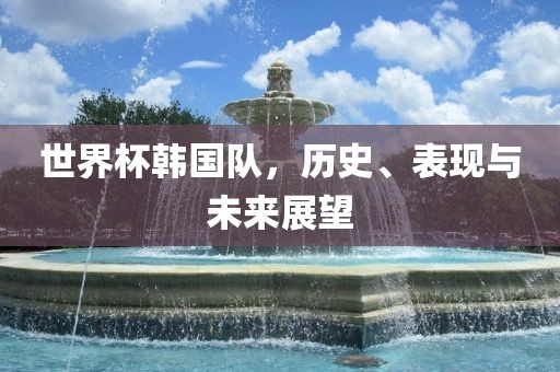 世界杯韩国队，历史、表现与未来展望