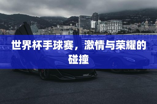 世界杯手球赛，激情与荣耀的碰撞