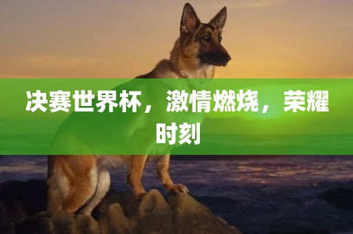 决赛世界杯，激情燃烧，荣耀时刻漯河市盈旭机械设备有限公司