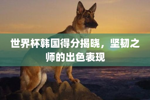 世界杯韩国得分揭晓，坚韧之师的出色表现
