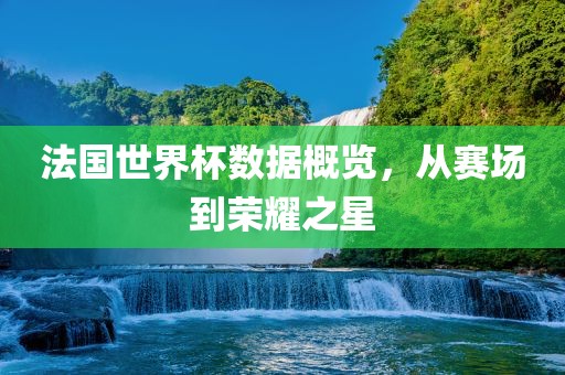 法国世界杯数据概览，从赛场到荣耀之星