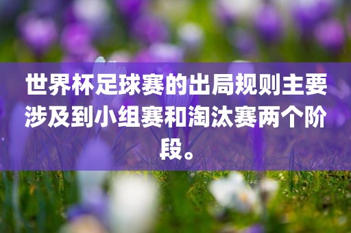 世界杯足球赛的出局规则主要涉及到小组赛和淘汰赛两个阶段。漯河市盈旭机械设备有限公司