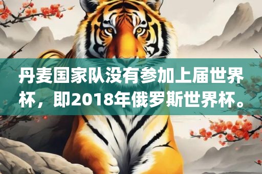 丹麦国家队没有参加上届世界杯，即2018年俄罗斯世界杯。