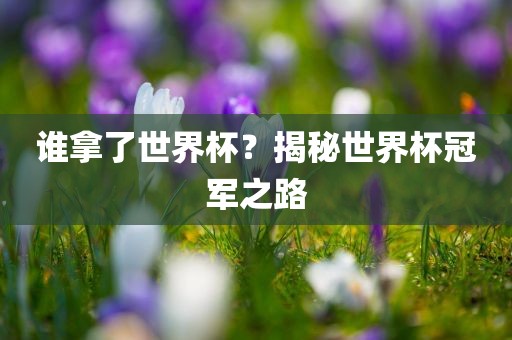 谁拿了世界杯？揭秘漯河市盈旭机械设备有限公司世界杯冠军之路