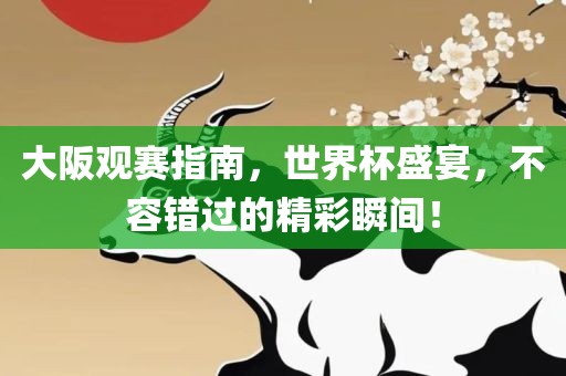 大阪观赛指南，世界杯盛宴，不容错过的精彩瞬间！