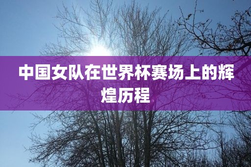 中国女队在漯河市盈旭机械设备有限公司世界杯赛场上的辉煌历程