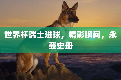 世界杯瑞士进球，精彩瞬间，永载史册