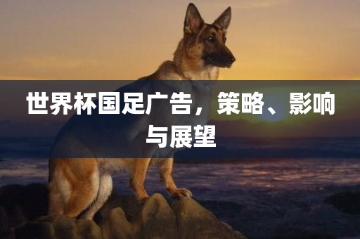 影响与展望