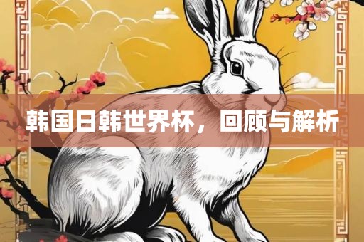 韩国日韩世界杯，回顾与解析