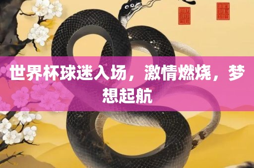世界杯球迷入场，激情燃烧，梦想起航