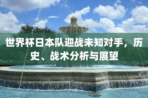 世界杯日本队迎战未知对手，历史、战术分析与展望