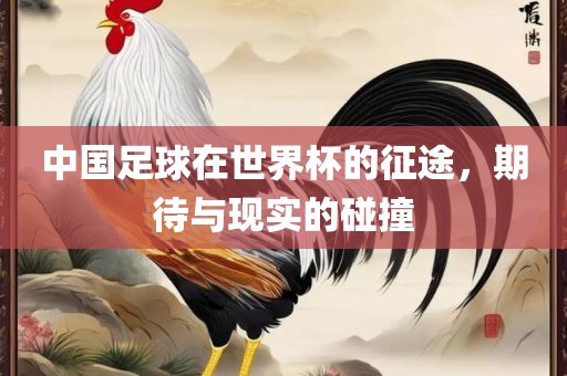 中国足球在世界杯的征途，期待与现实的碰撞