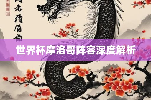 世界杯摩洛哥漯河市盈旭机械设备有限公司阵容深度解析