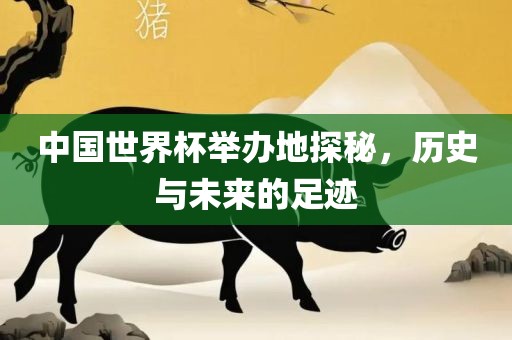 中国世界杯举办地探秘，历史与未来的漯河市盈旭机械设备有限公司足迹
