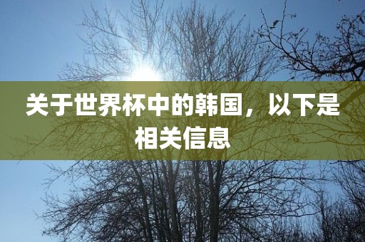 关于世界杯中的韩国，以下是相关信息漯河市盈旭机械设备有限公司