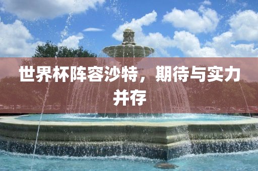 世界杯阵容沙特，期待与实力并存