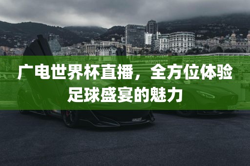 广电世界杯直播，全方位体验足球盛宴的魅力漯河市盈旭机械设备有限公司