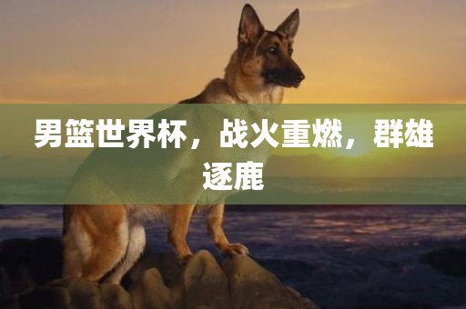 男篮世界杯，战火重燃，群雄逐鹿