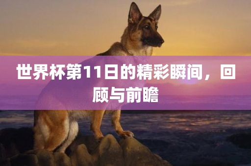 世界杯第11日的精彩瞬间，回顾与前瞻