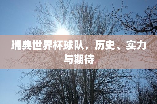 瑞典世界杯球队，历史、实力与期待
