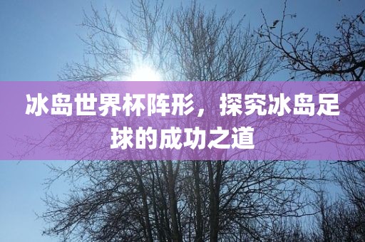 冰岛世界杯阵形，探究冰岛足球的成功之道