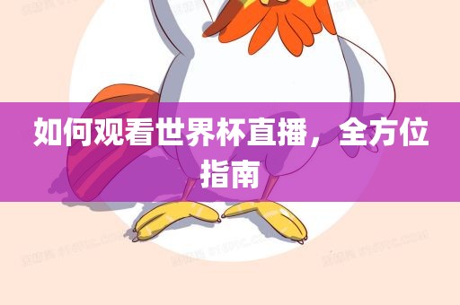 如何观看世界杯直播，全方位指南