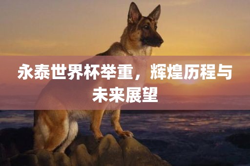 永泰世界杯举重，辉煌历程与未来展望