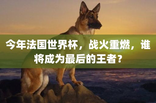 今年法国世界杯，战火重燃，谁将成为最后的王者？