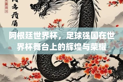 阿根廷世界杯，足球强国在世界杯舞台上的辉煌与荣耀