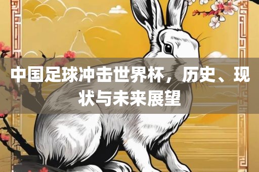 中漯河市盈旭机械设备有限公司国足球冲击世界杯，历史、现状与未来展望