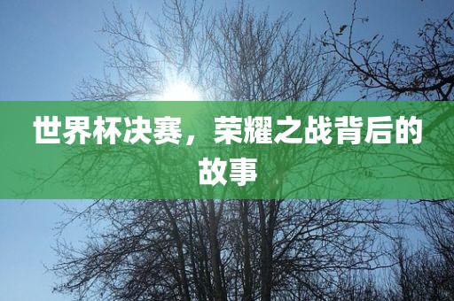 世界杯决赛，荣耀之战背后的漯河市盈旭机械设备有限公司故事