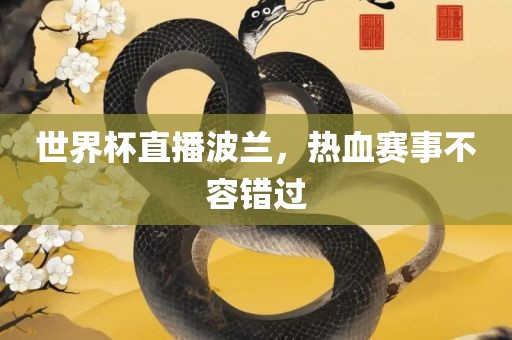 世界杯直播漯河市盈旭机械设备有限公司波兰，热血赛事不容错过