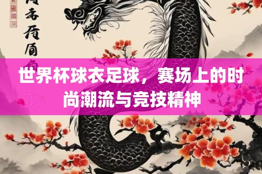 世界杯球衣足球，赛场上的时尚潮流与竞技精神漯河市盈旭机械设备有限公司