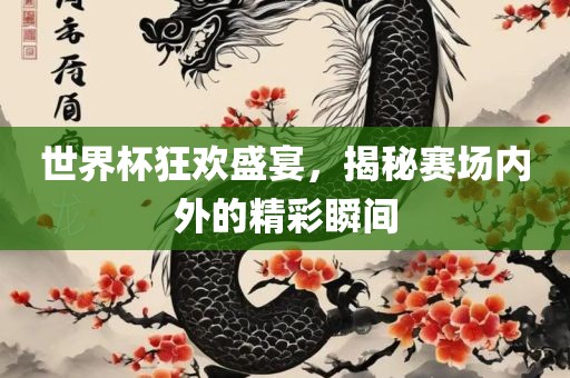 世界杯狂欢盛宴，揭秘赛场内外的精彩瞬间