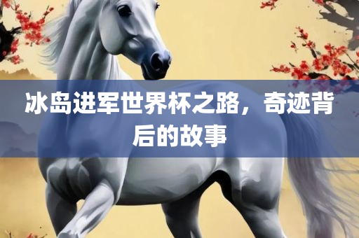 冰岛进军世界杯之路，奇迹背后的故事