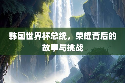 韩国世界杯总统，荣耀背后的故事与挑战