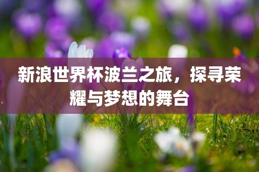 新浪世界杯波兰之旅，探寻荣耀与梦想的舞台