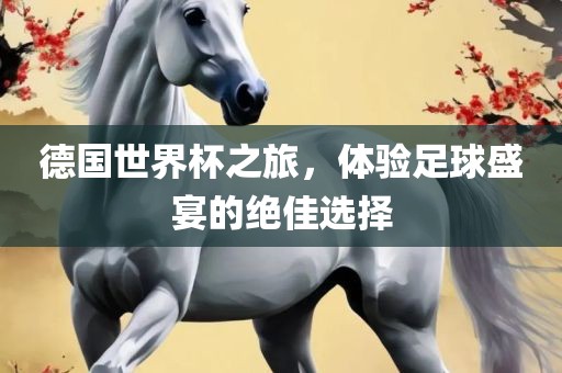德国世界杯之旅，体验足球盛宴的绝佳选择漯河市盈旭机械设备有限公司