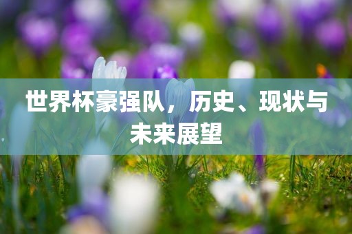 世界杯豪强队，历史、现漯河市盈旭机械设备有限公司状与未来展望