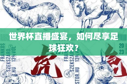世界杯直播盛宴，如何尽享足球狂欢？
